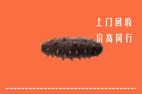 高价求购：绥化回收海参