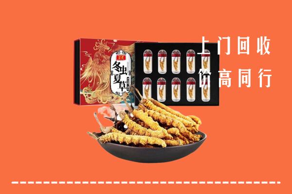 绥化回收虫草